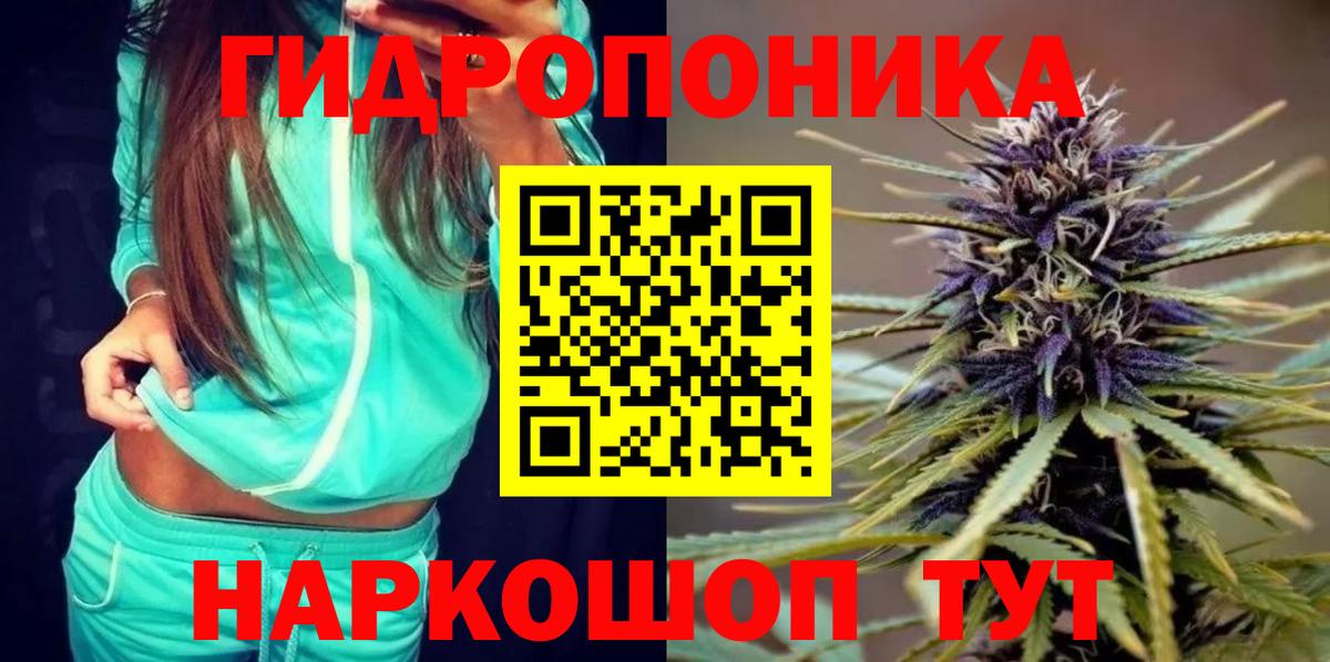 Каннабис план  Каннабис марихуана  Мурманск  Вход с VPN 